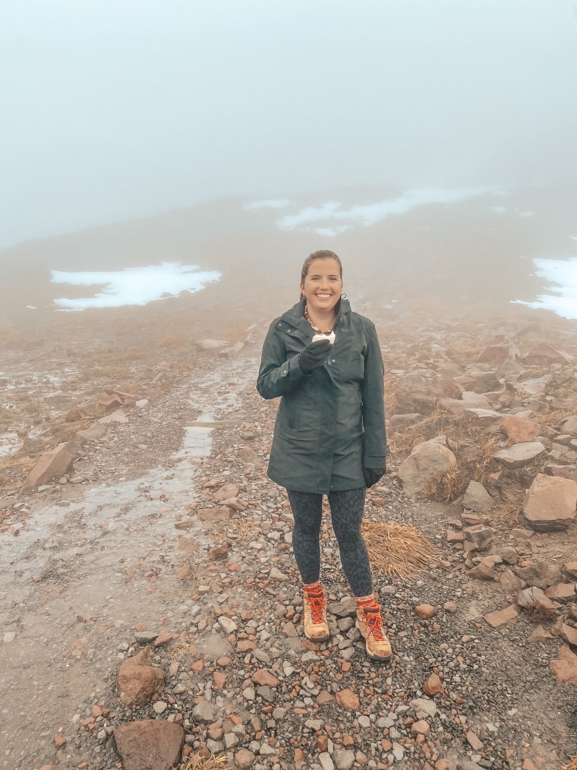 7 Easy Mt Rainier Hikes for Beginners (2025)