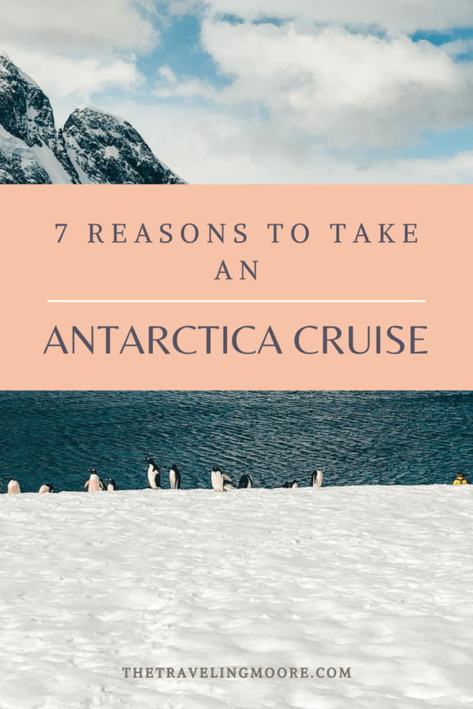 7 Reasons to take an Antarctica cruise