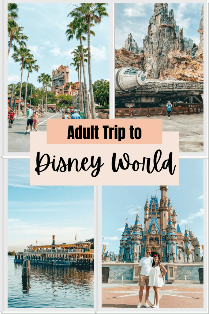Adult Trip to Disney World