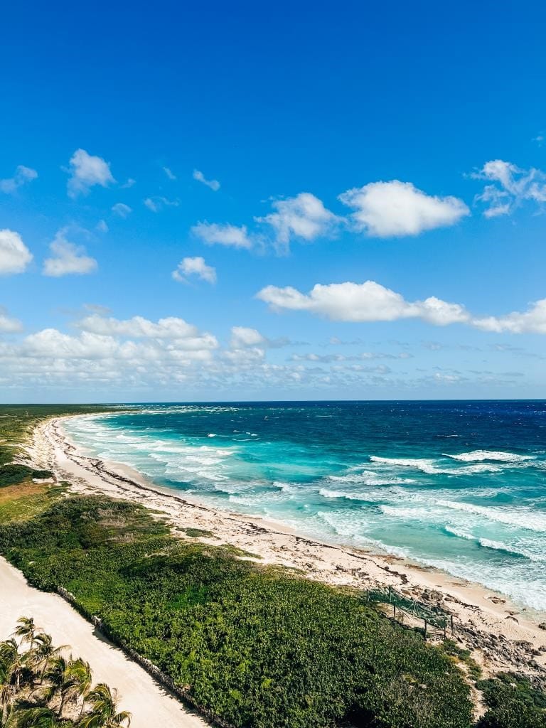 One Day in Cozumel: What to Do on a Day Trip to Cozumel