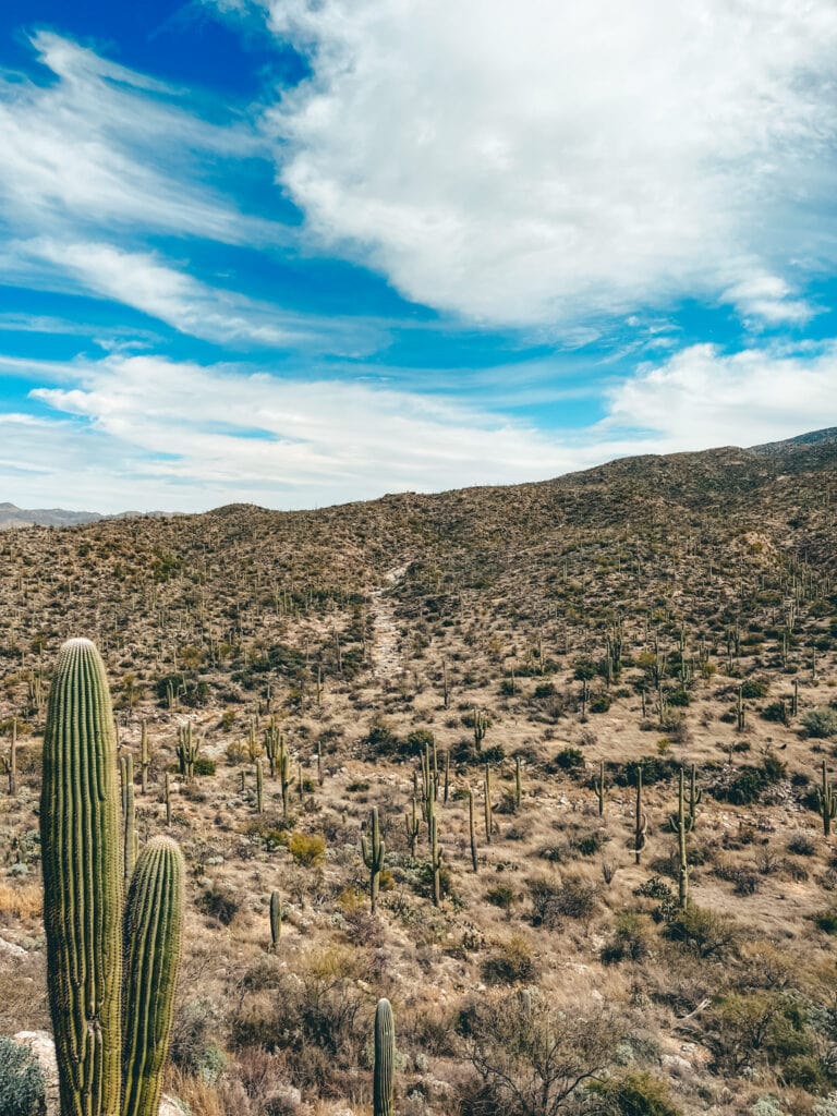 Two Days in Tucson: The Top Things to Do and Weekend Itinerary