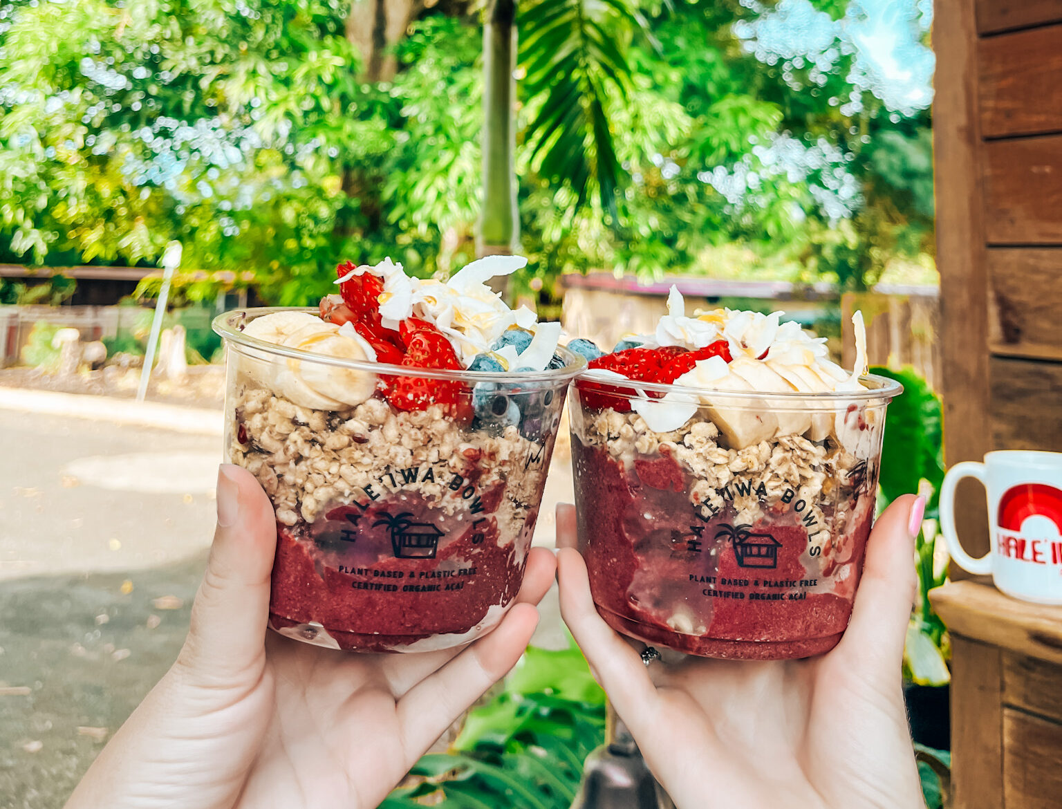 13 Best Acai Bowls in Honolulu, Waikiki, and Haleiwa on Oahu