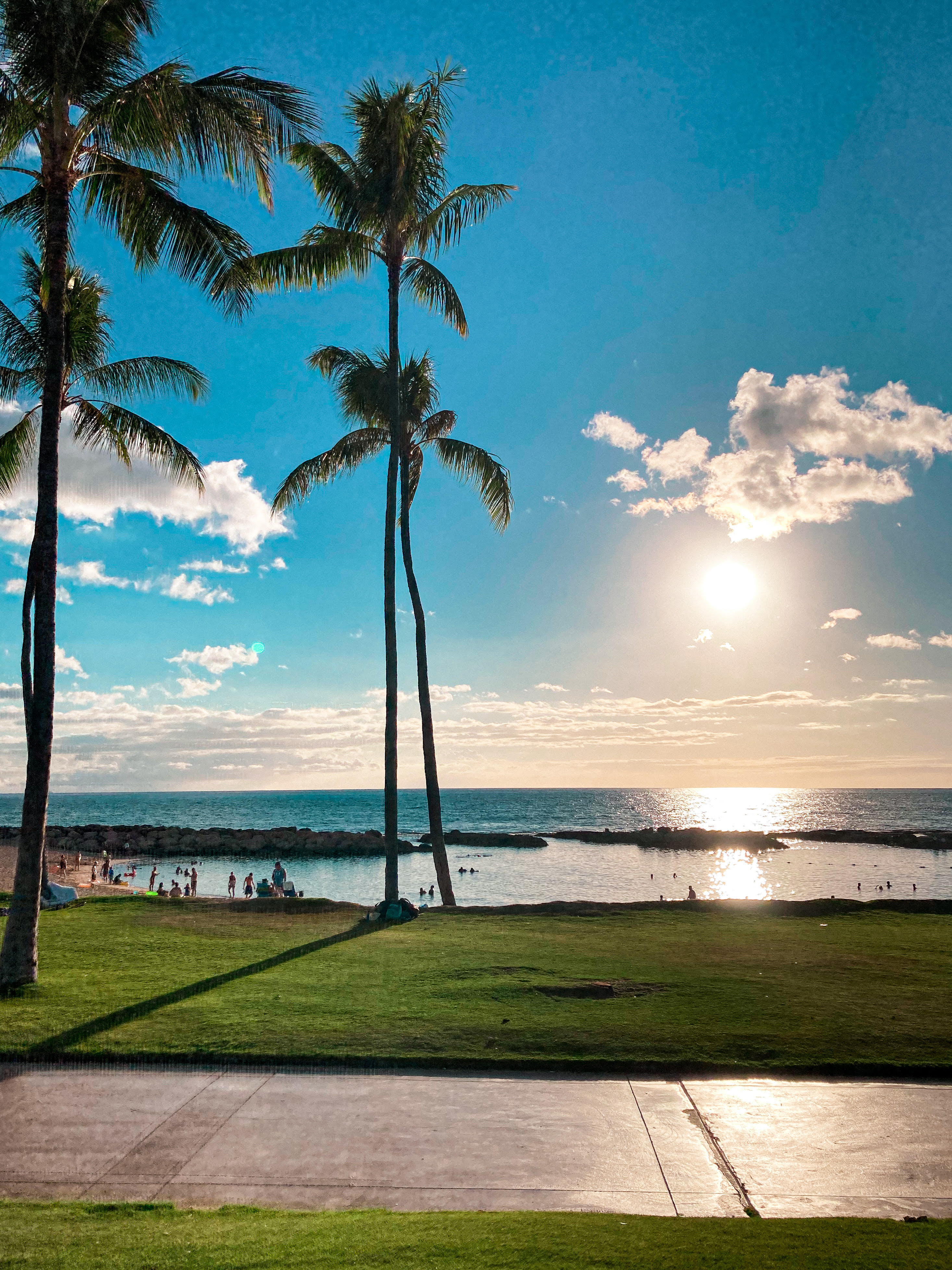 View of palm trees, grass, and ko olina lagoons in Oahu