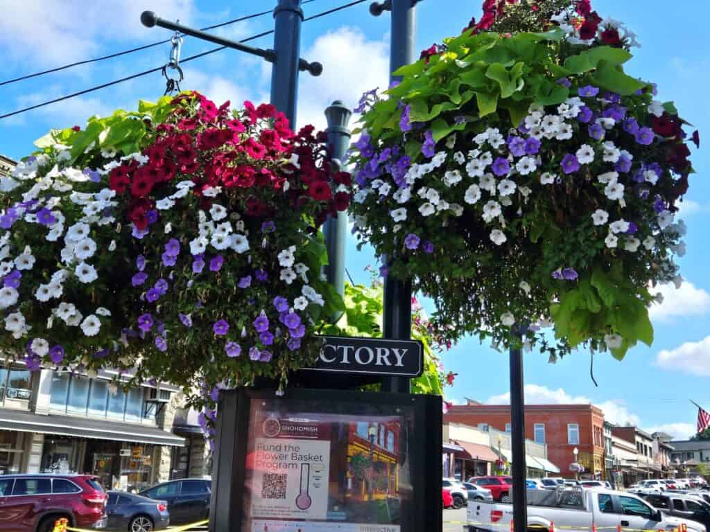 hanging flower baskets in downtown snohomish washington