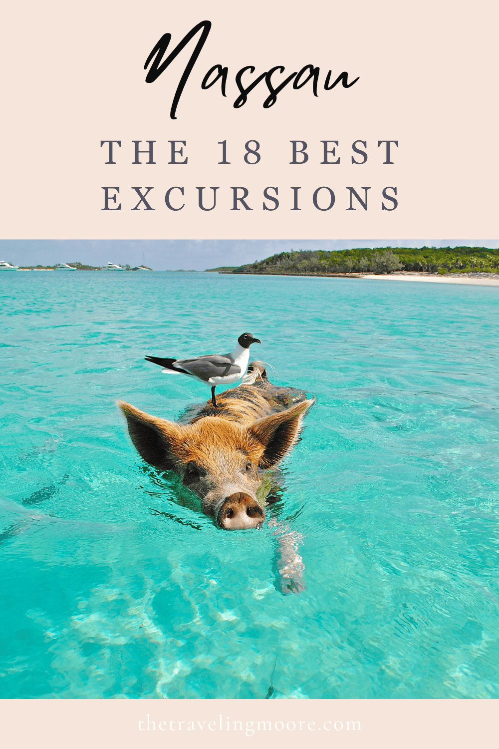 17 Best Things to Do in Nassau Bahamas Cruise Port