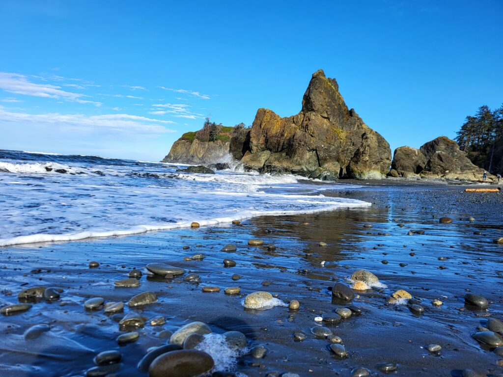 beach at olympic national park