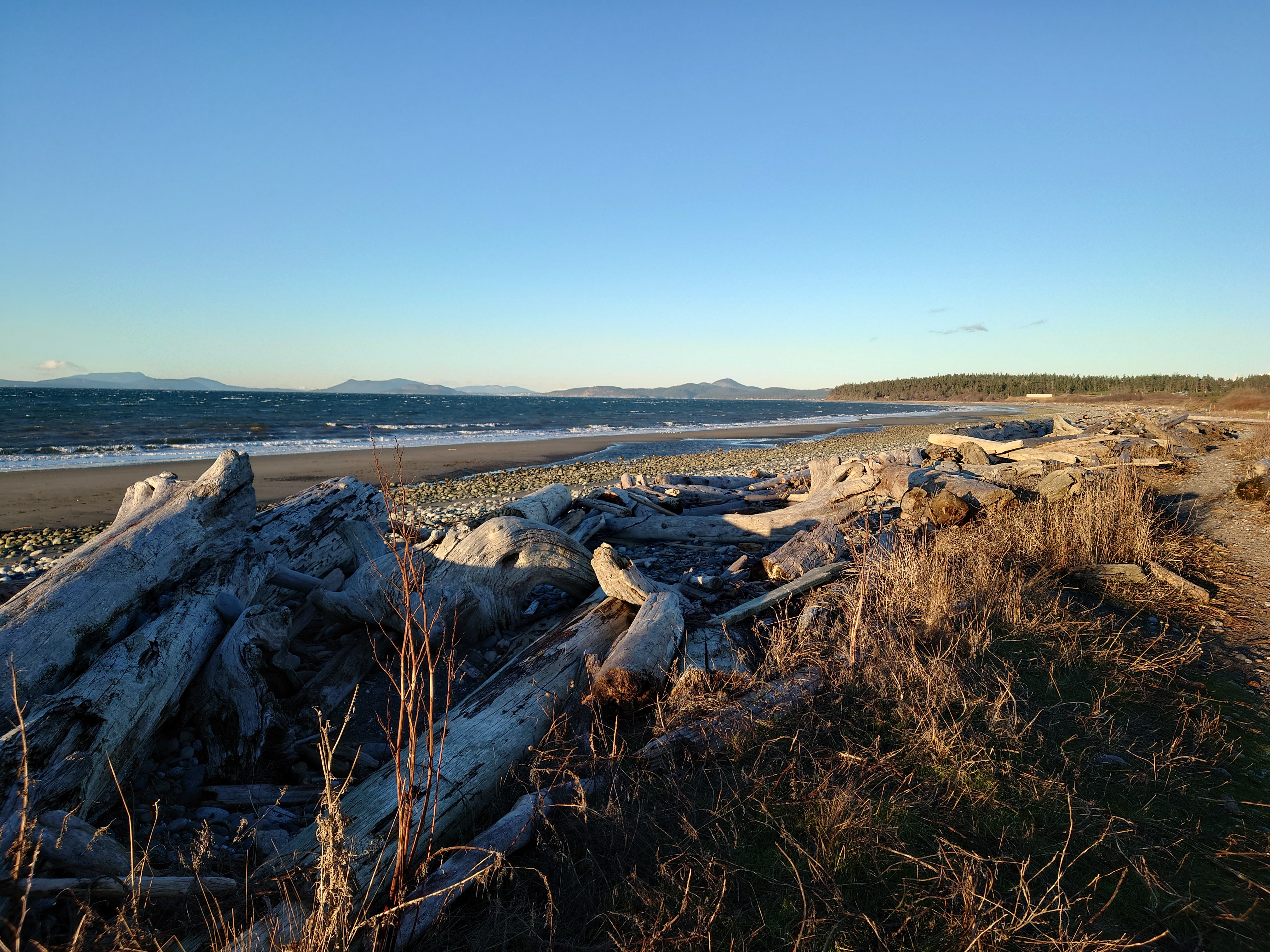 Beach on Whidbey Island with driftwood, rocky sand, and the ocean