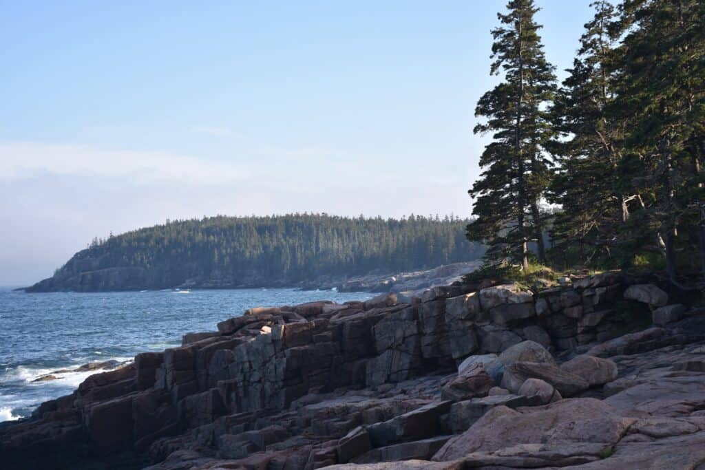 A serene view of the rugged, rocky coastline at Acadia National Park, with dense evergreen trees framing the tranquil ocean waters