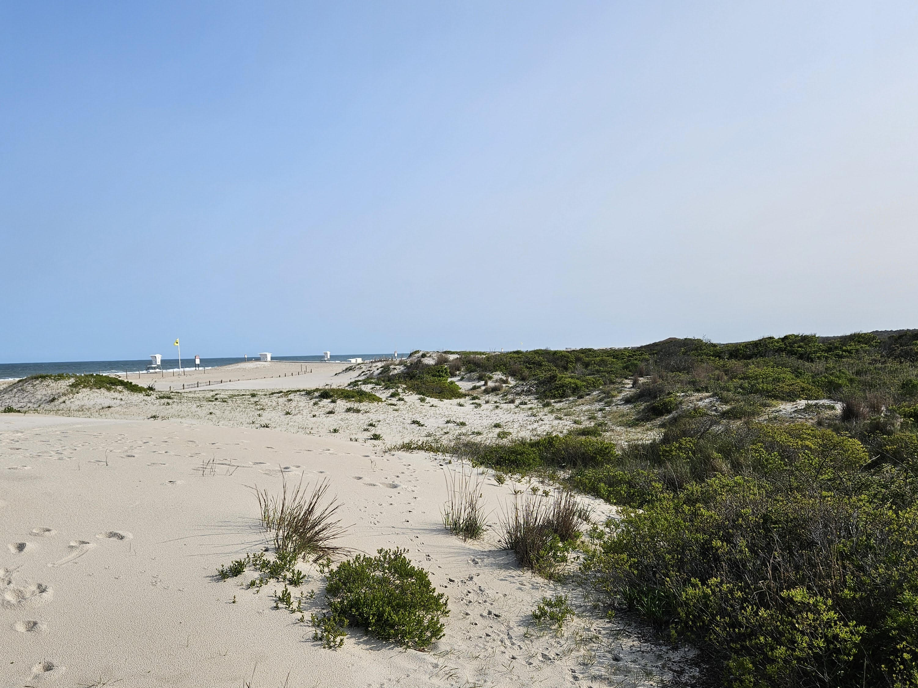 Pristine beach landscape of Assateague Island with sand dunes and native shrubbery under a clear blue sky. In the distance, lifeguard stands and a yellow flag can be seen, indicating beach activity areas.
