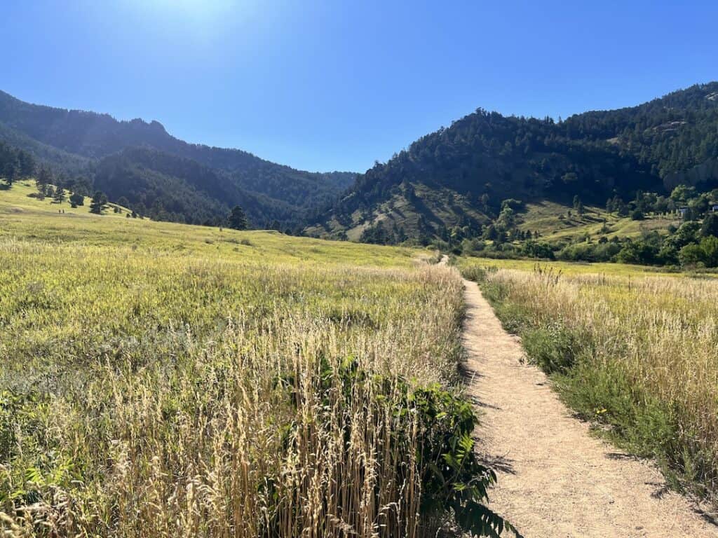 A peaceful hiking trail in Boulder, Colorado, meandering through a sunlit meadow with tall grasses and leading towards the foothills of the Rocky Mountains under a clear blue sky