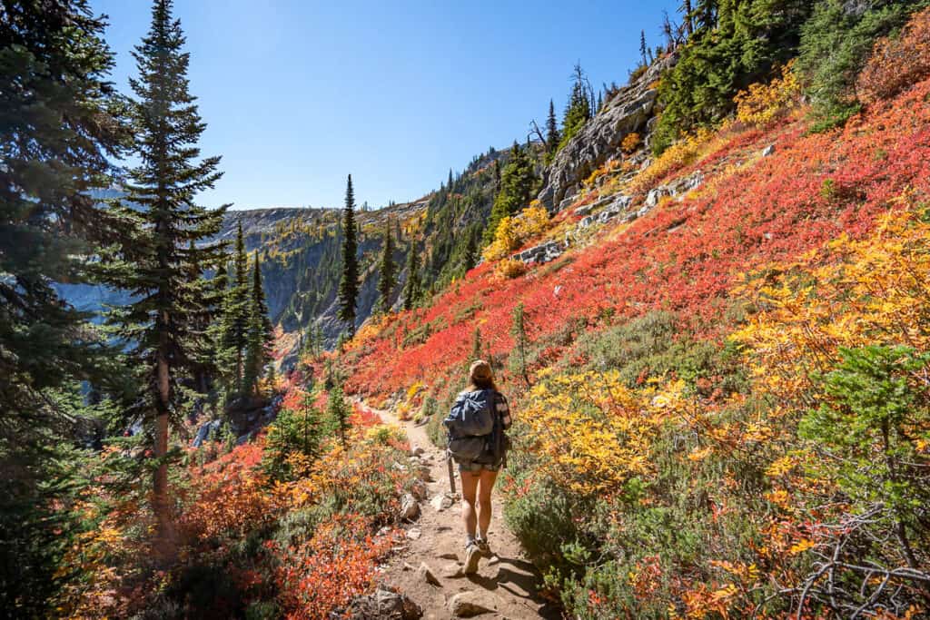 A hiker trekking the Heather-Maple Pass Loop in Washington State, surrounded by fiery autumn colors painting the slopes with reds, oranges, and yellows under a clear blue sky.