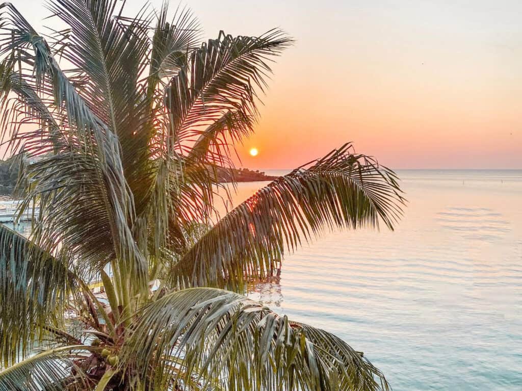 Sunset view through the fronds of a coconut palm on the coast of Honduras, with the sun dipping towards the horizon casting a warm glow over the calm Caribbean Sea