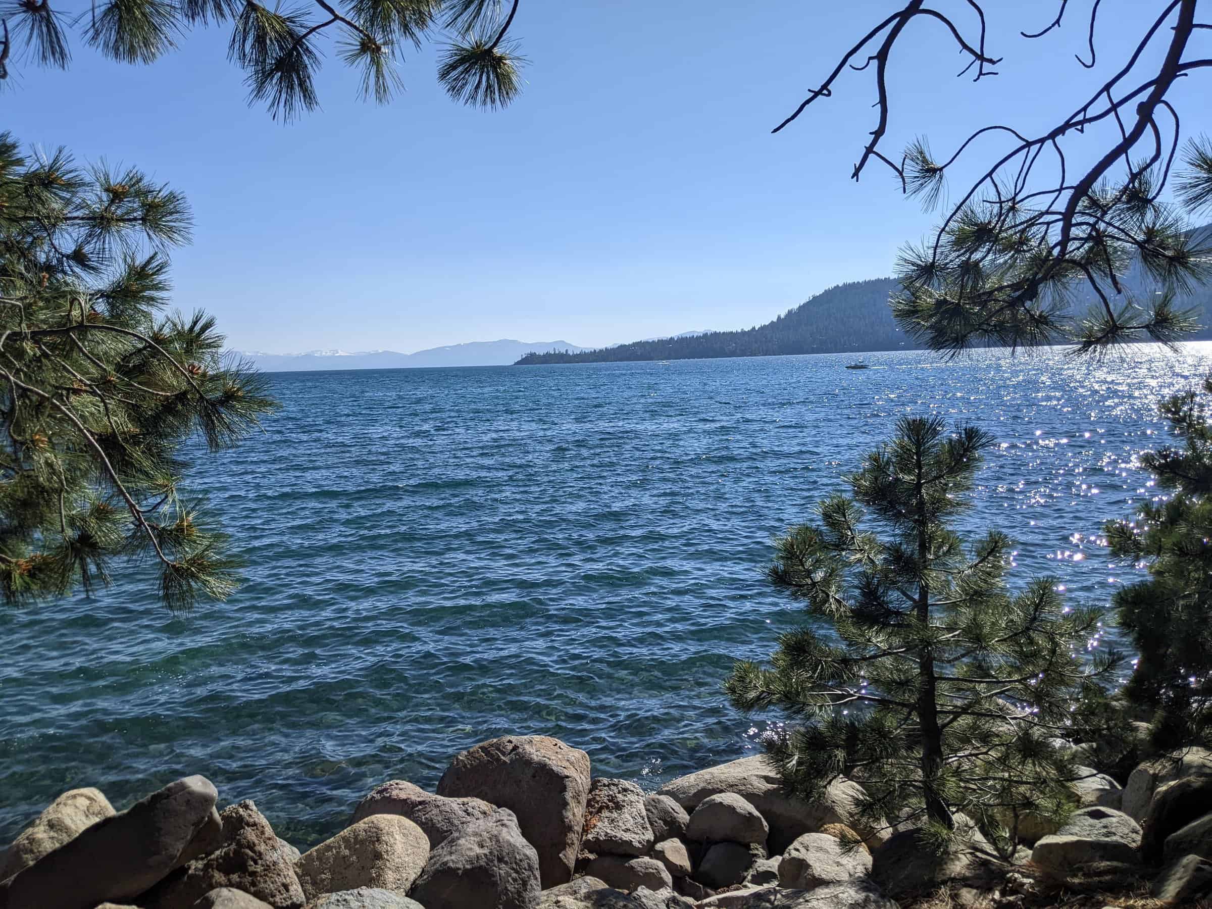 A view through pine branches to the sparkling blue waters of Lake Tahoe, with sunlit ripples and a mountainous backdrop under a clear sky
