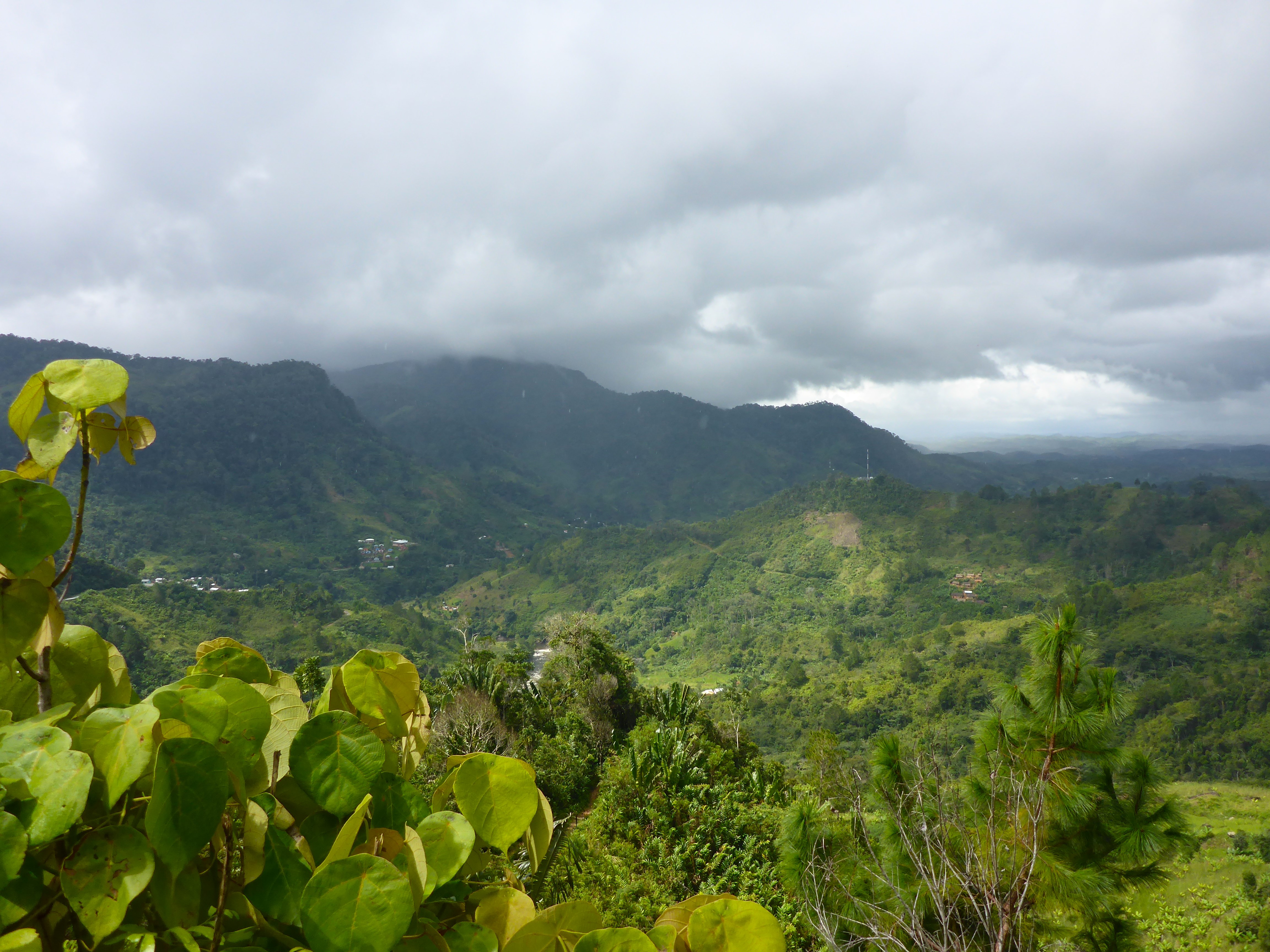 Verdant mountainous landscape in Madagascar, with dense tropical foliage in the foreground and rolling hills under a stormy sky in the background, suggesting the rich biodiversity and dynamic weather of the region.