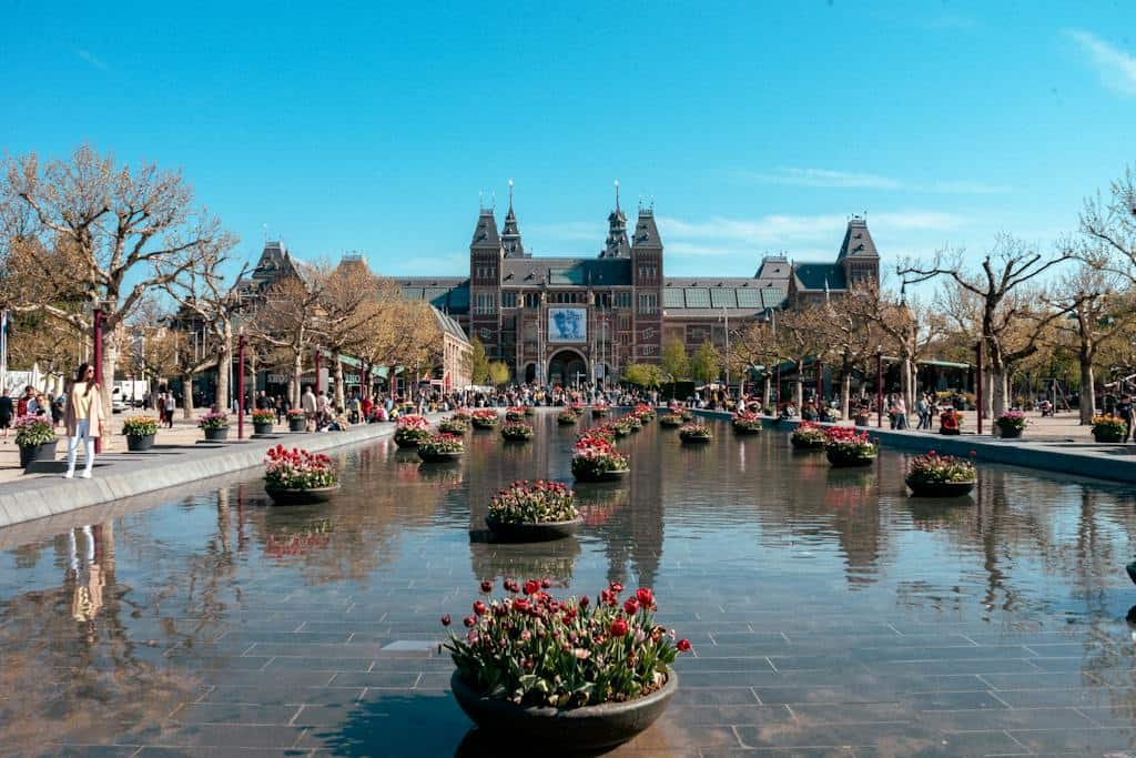 Planters Filled with Tulips in the Pond in Front of Rijksmuseum in Amsterdam