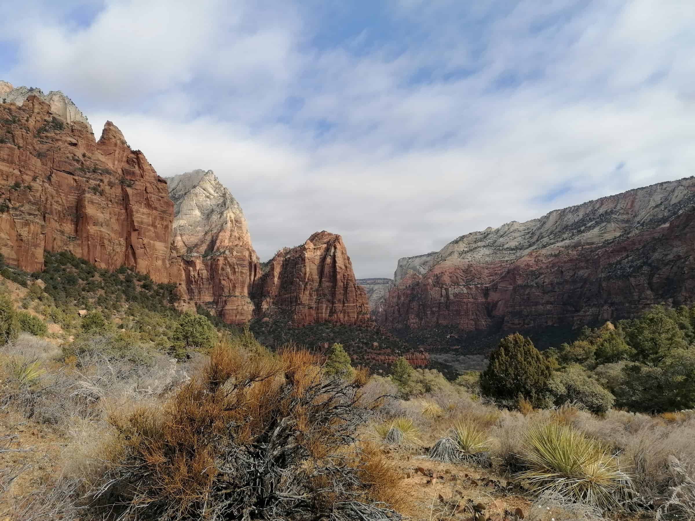 Dramatic landscape of Zion National Park, showcasing towering red rock formations with white and tan striations, contrasted by the varied greenery of shrubs and trees. The partly cloudy sky casts dynamic shadows over the scene, enhancing the natural splendor of the park