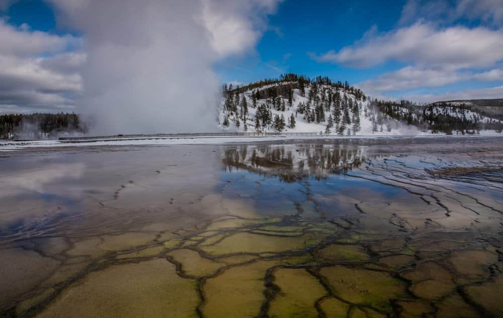The Grand Prismatic Spring in Yellowstone National Park on a cloudy day, with steam rising above the vividly colored microbial mats and reflective waters, set against a backdrop of snow-dusted evergreens and hills.