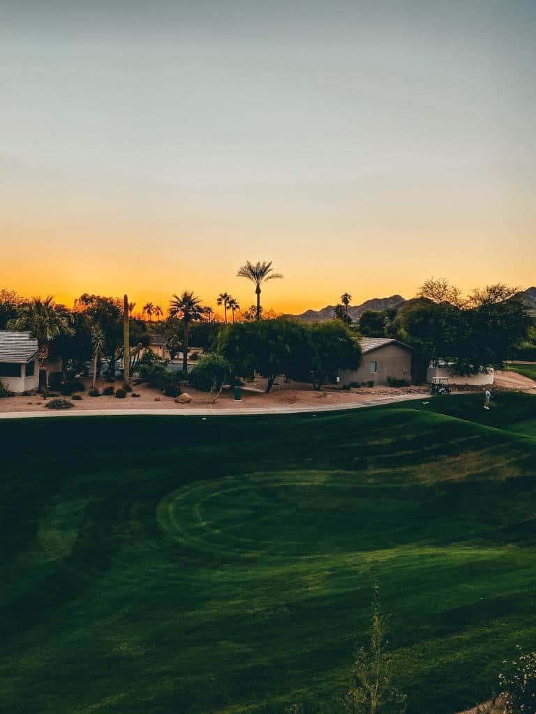 A serene Scottsdale sunset casts a warm glow over a lush golf course with towering palm trees and cacti silhouetted against the fading light, highlighting the tranquil beauty of the desert landscape.
