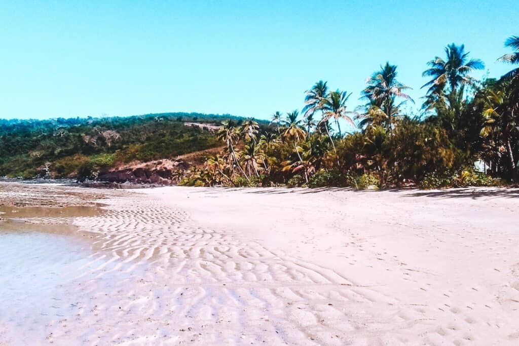 Pristine white sand beach with distinctive ripple patterns, fringed by lush tropical palm trees, in Fiji, exuding a serene and untouched atmosphere under a clear sky.