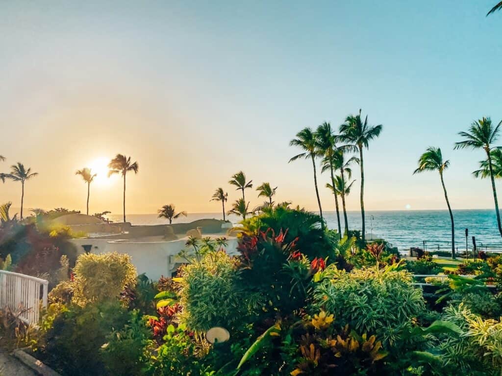 Sunrise in Wailea, Maui, casting a warm glow over a tropical garden with lush greenery and tall palm trees, overlooking the calm Pacific Ocean, offering a serene start to the day.