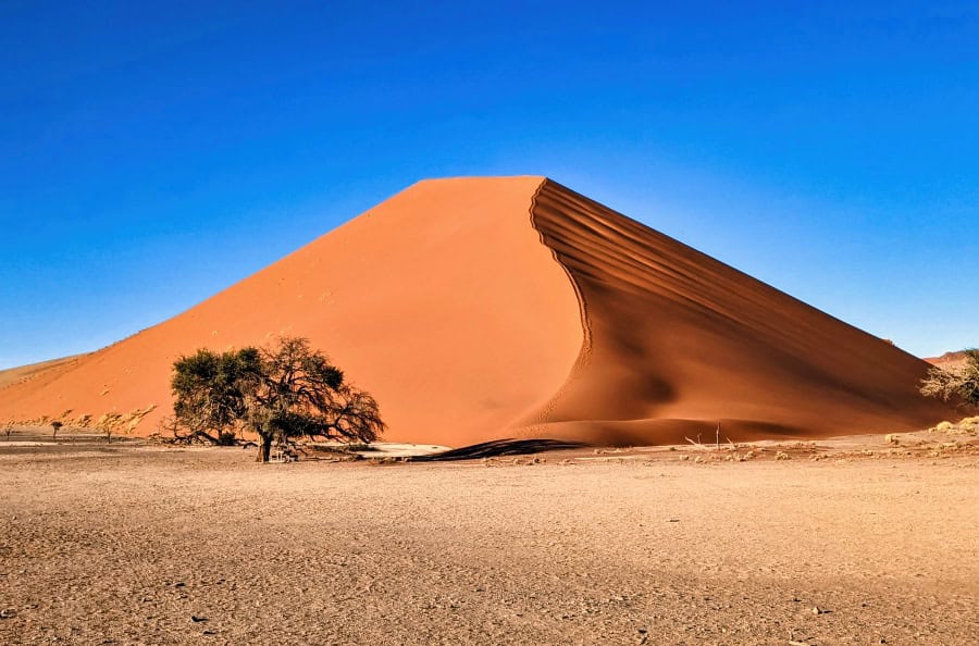 A striking view of a towering red sand dune in the Namib Desert, Namibia, set against a clear blue sky. The dune's sharp ridge casts a dramatic shadow, highlighting its steep incline. Sparse vegetation, including a lone tree, dots the arid landscape, emphasizing the vastness and stark beauty of the desert.