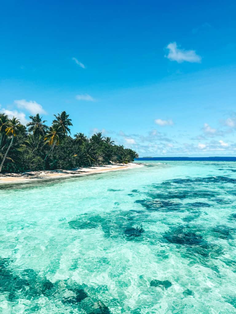 A tropical beach with crystal-clear turquoise water and a lush, green shoreline lined with palm trees under a bright blue sky. The scene is tranquil and inviting, perfect for a relaxing getaway.
