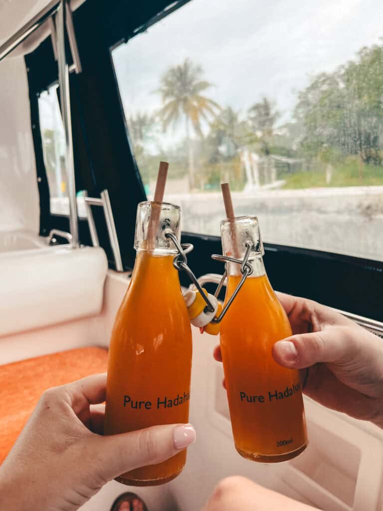 Close-up of two hands clinking bottles of 'Pure Hadahaa' juice aboard a boat. The transparent bottles are filled with orange juice and equipped with bamboo straws, offering a refreshing scene with blurred tropical palms and the boat’s white interior in the background