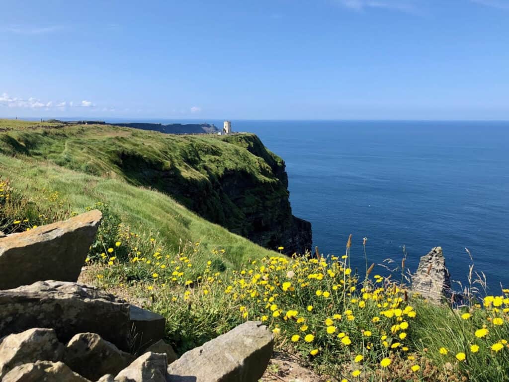 A scenic view of the Cliffs of Moher in Ireland, featuring vibrant yellow wildflowers in the foreground and a clear blue sky over the vast ocean in the background. The dramatic cliffside is lush with green grass, with a solitary tower visible in the distance.