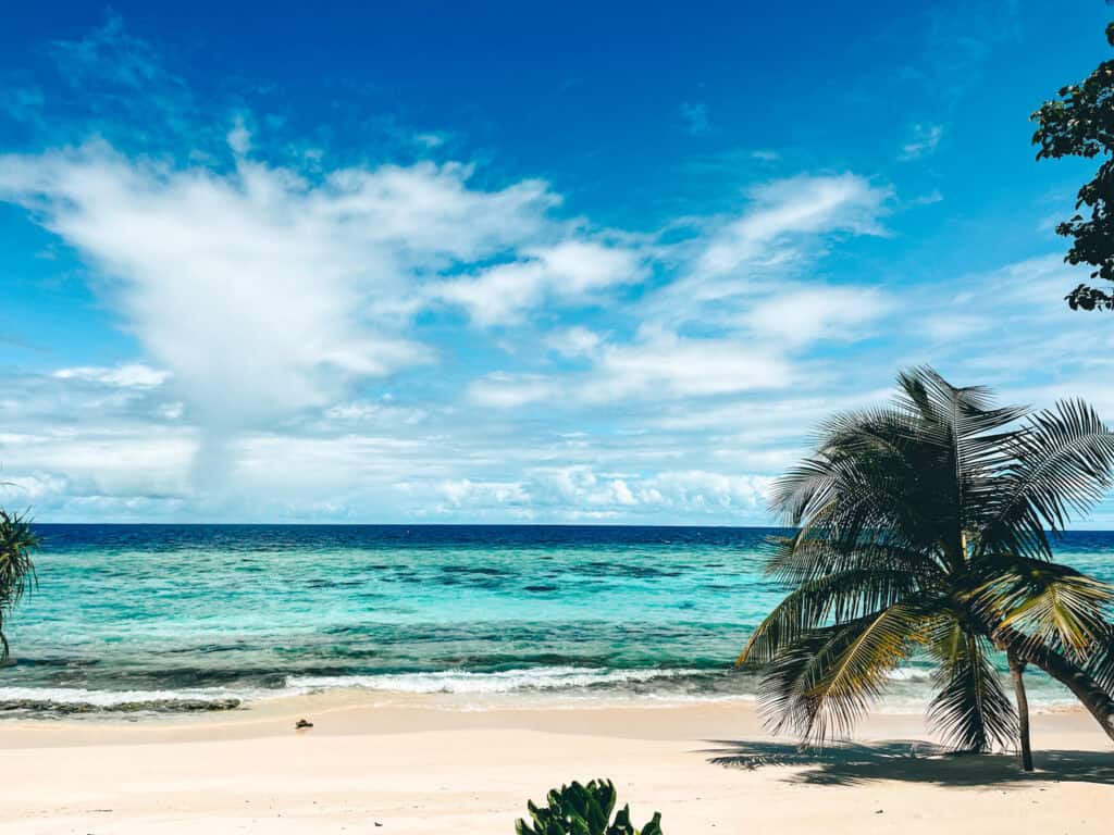 A serene beach scene with a palm tree framing the view of clear turquoise water and gentle waves, under a bright blue sky with scattered clouds. The sandy shore looks inviting and peaceful, ideal for a tropical getaway.







