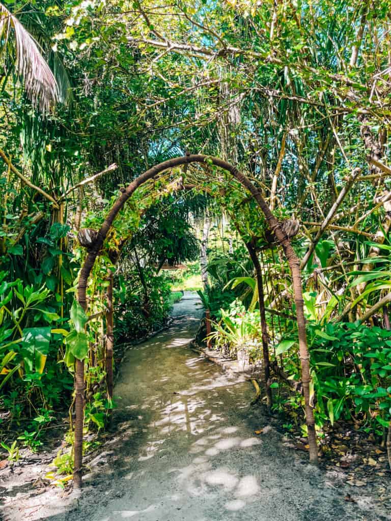 Natural and rustic entrance to a spa path at a resort, marked by a handmade archway of bent wooden branches. The pathway is surrounded by dense tropical vegetation, inviting guests into a secluded and peaceful spa environment.
