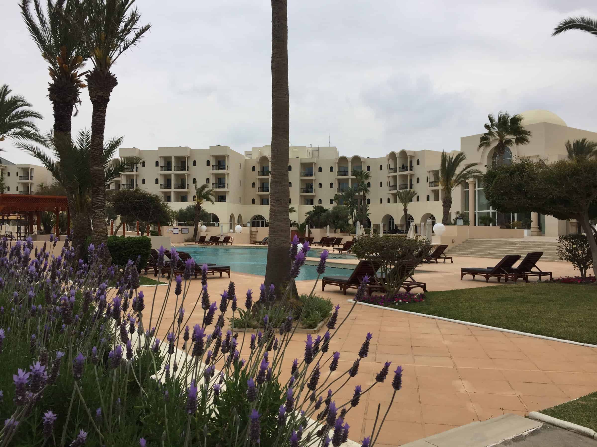 A serene view of a resort in Tunisia, featuring a large swimming pool surrounded by sun loungers and palm trees. The foreground showcases blooming purple lavender, while the background displays the resort's white, Mediterranean-style buildings. The overall scene exudes a tranquil and inviting atmosphere.