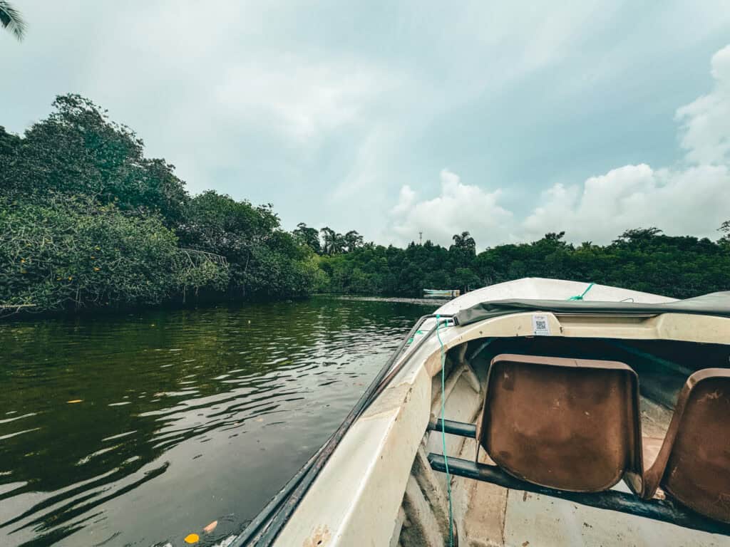 View from a small boat on a river, surrounded by dense green foliage, under a cloudy sky during a boat tour