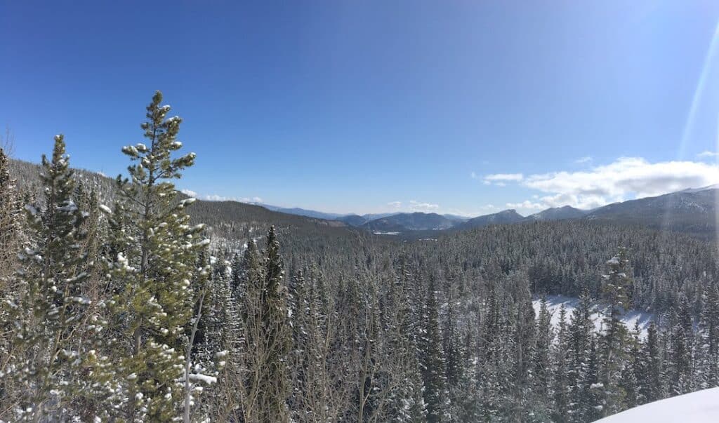 A panoramic winter view of a snow-covered forest in Boulder, Colorado, with evergreen trees stretching to the horizon. The clear blue sky and distant mountain ranges enhance the serene and expansive landscape.