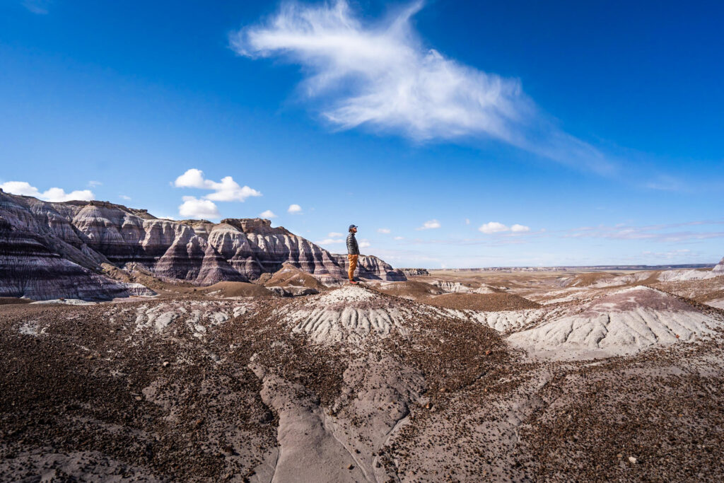 A person standing atop a rugged, multicolored hill in Petrified Forest National Park, Arizona, with striped rock formations stretching into the distance. The clear blue sky and scattered clouds highlight the vast, arid landscape, showcasing the park's unique geological features.