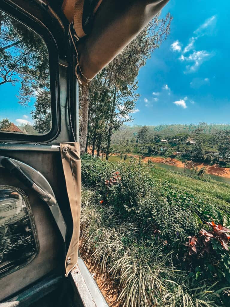 A view from inside an open-sided truck, looking out onto a lush tea plantation with vibrant greenery and a clear blue sky. The scene captures the beauty of the tea fields and surrounding landscape.