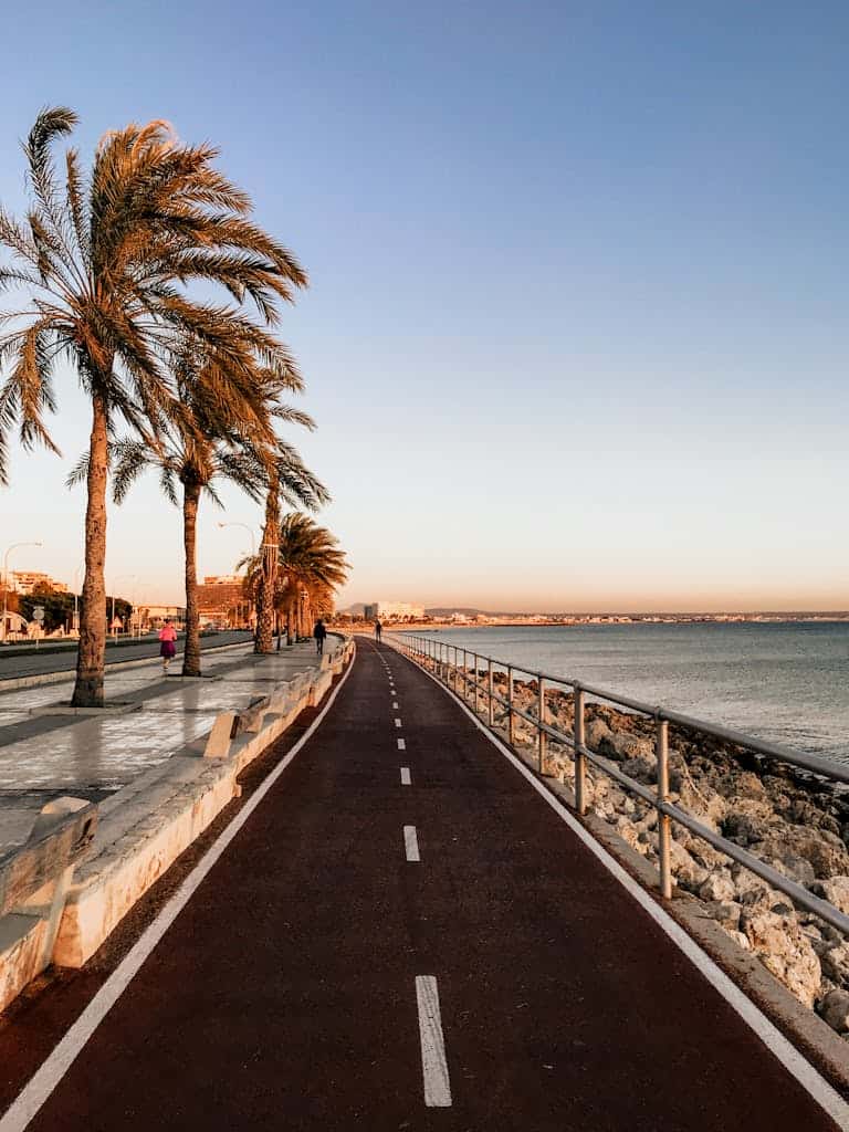 Asphalt Road Near Ocean Under Blue Skies