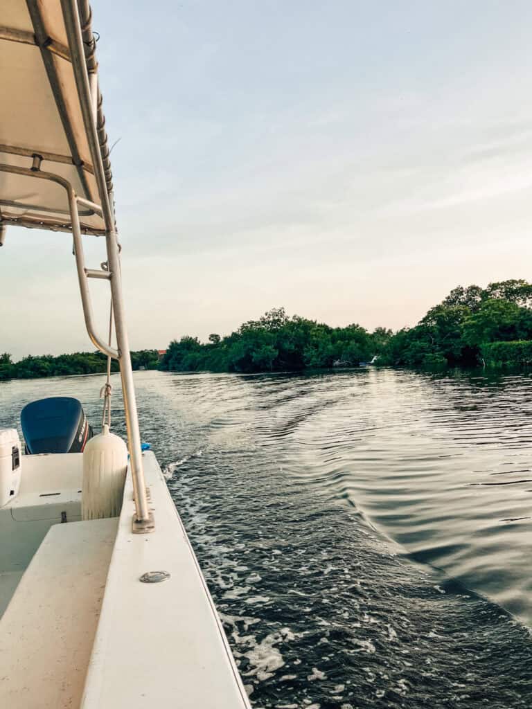 A small boat cruises along a calm waterway surrounded by lush greenery, leaving a gentle wake behind. The photo captures the side of the boat and its outboard motor, with a clear sky overhead as the journey unfolds.