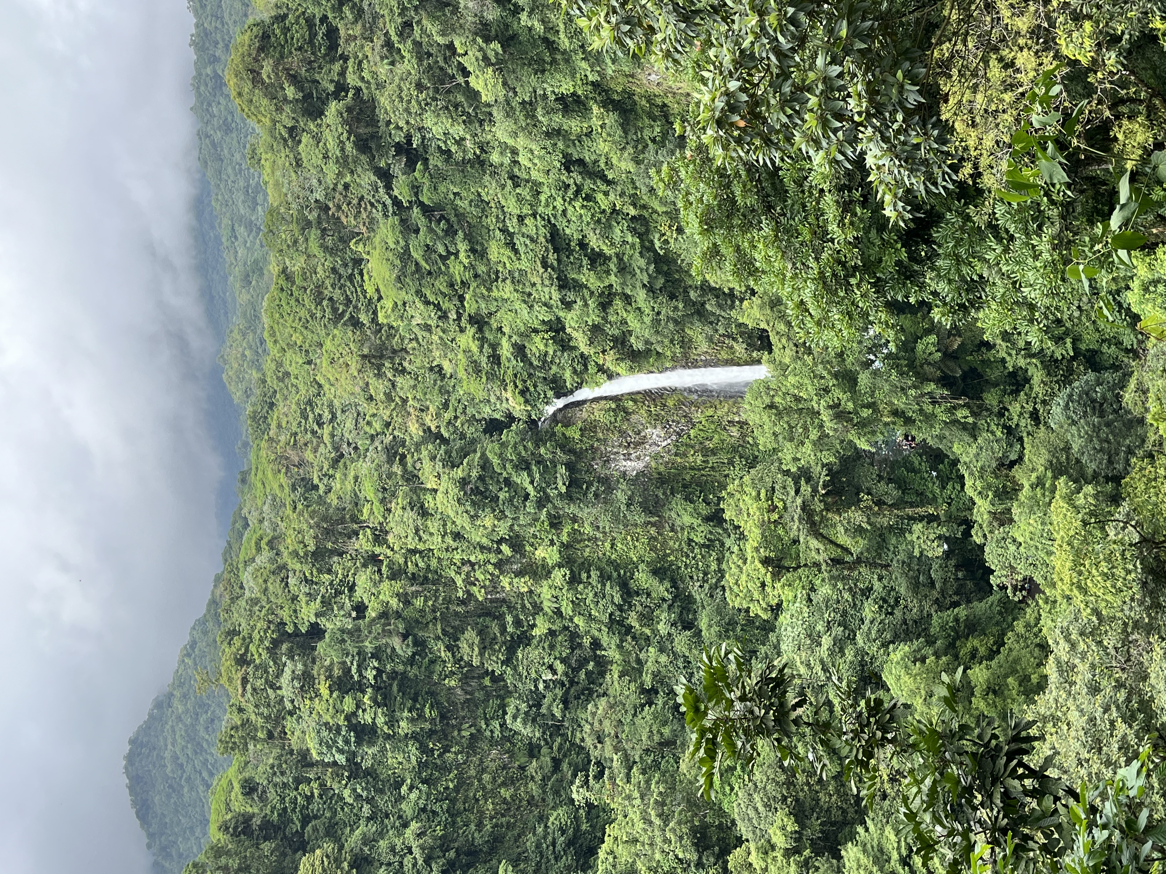 This image showcases a breathtaking view of a tall waterfall cascading through dense, lush green jungle in Costa Rica. The waterfall stands out against the vibrant foliage, surrounded by towering trees and thick vegetation. Misty clouds hang over the mountainous landscape in the background, adding to the dramatic and serene atmosphere of this tropical rainforest. The scene captures the natural beauty and tranquility of Costa Rica’s wild landscape.