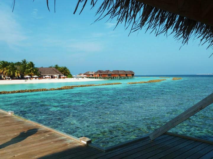 This image features a stunning view of a tropical resort in the Maldives, with overwater bungalows extending over the turquoise, crystal-clear waters. Palm trees and beach umbrellas are visible along the white sandy shore, offering a luxurious and serene beachside experience. The wooden deck in the foreground, partially shaded by a thatched roof, provides a vantage point overlooking the coral reefs below the surface, enhancing the idyllic setting.