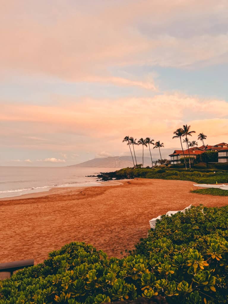 This image captures a serene beach scene at sunrise, with soft, pinkish-orange clouds illuminating the sky over Polo Beach. The sandy shoreline is framed by lush greenery and a line of tall palm trees near beachfront villas, creating a peaceful, tropical atmosphere. In the distance, a calm ocean meets low mountains, adding depth to the tranquil coastal landscape.