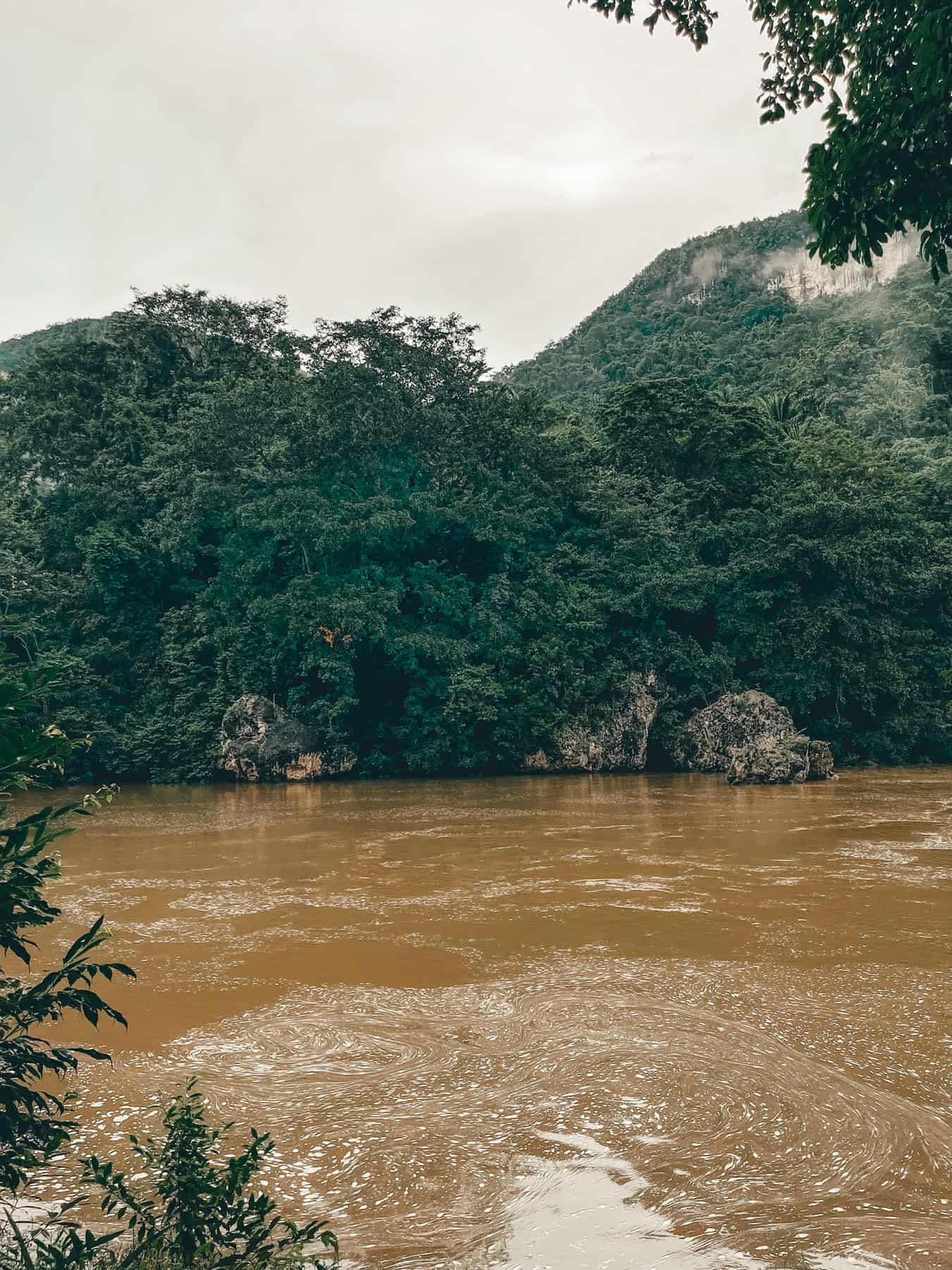 A muddy river flows through a lush, forested landscape with dense greenery and rocky outcroppings along the banks. In the background, mist-covered hills rise under an overcast sky, adding to the scene's serene and natural atmosphere.