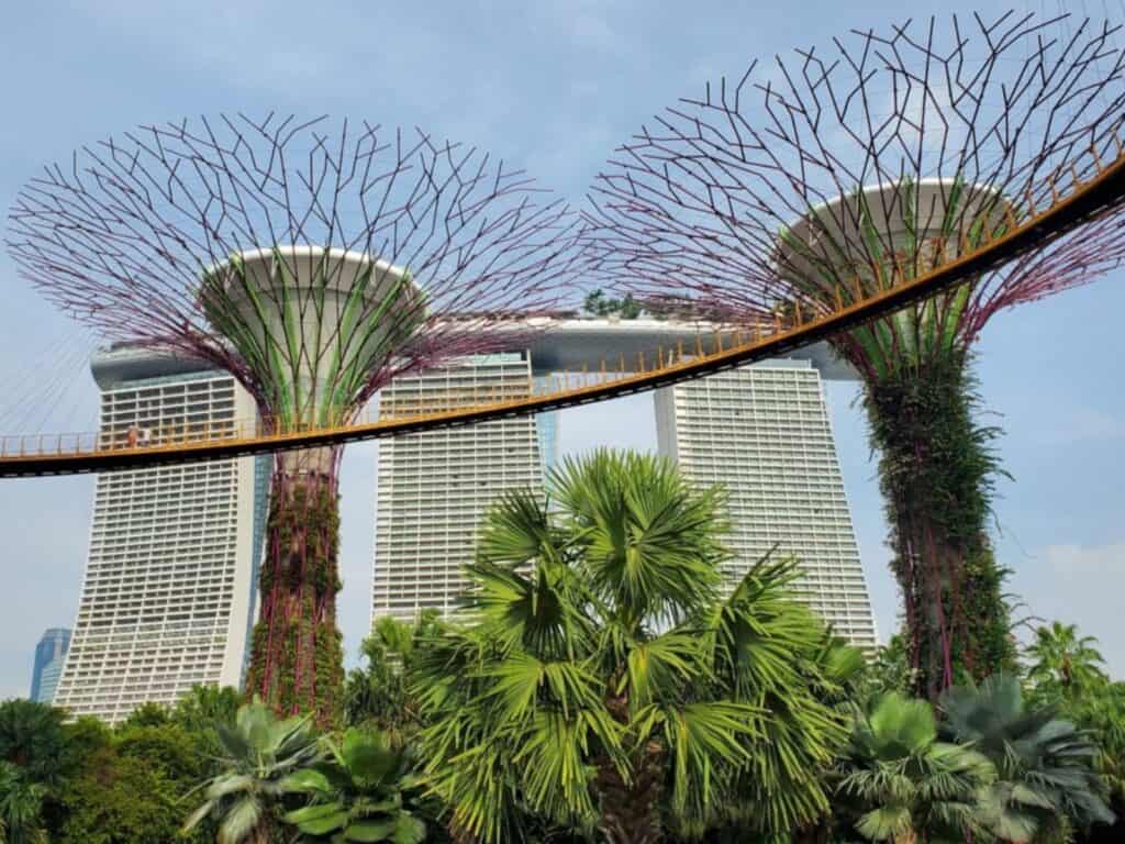 This image shows the iconic Supertree Grove at Gardens by the Bay in Singapore, with towering tree-like structures covered in vertical greenery. The structures are interconnected by an elevated walkway, offering panoramic views of the garden below. In the background, the distinctive Marina Bay Sands hotel with its ship-like rooftop can be seen, adding to the futuristic and architectural grandeur of the scene. Lush tropical plants in the foreground complement the modern urban greenery, blending nature and innovation in this famous Singaporean landmark.