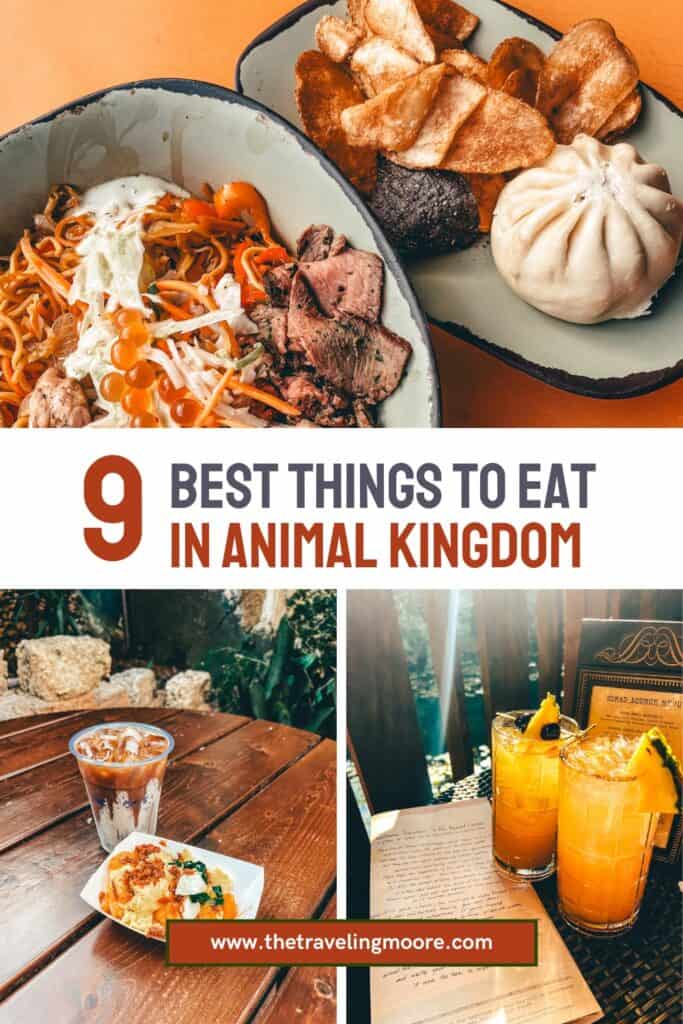 This promotional image showcases a blog post titled "9 Best Things to Eat in Animal Kingdom" from *www.thetravelingmoore.com*. The top half features a vibrant noodle bowl with grilled chicken, beef, and fish roe, alongside a bao bun and crispy chips on an orange table. The bottom left highlights a serving of breakfast totchos paired with an iced coffee on a wooden table, while the bottom right displays two tropical cocktails garnished with pineapple and cherries, set beside the Nomad Lounge menu in a sunlit outdoor setting.