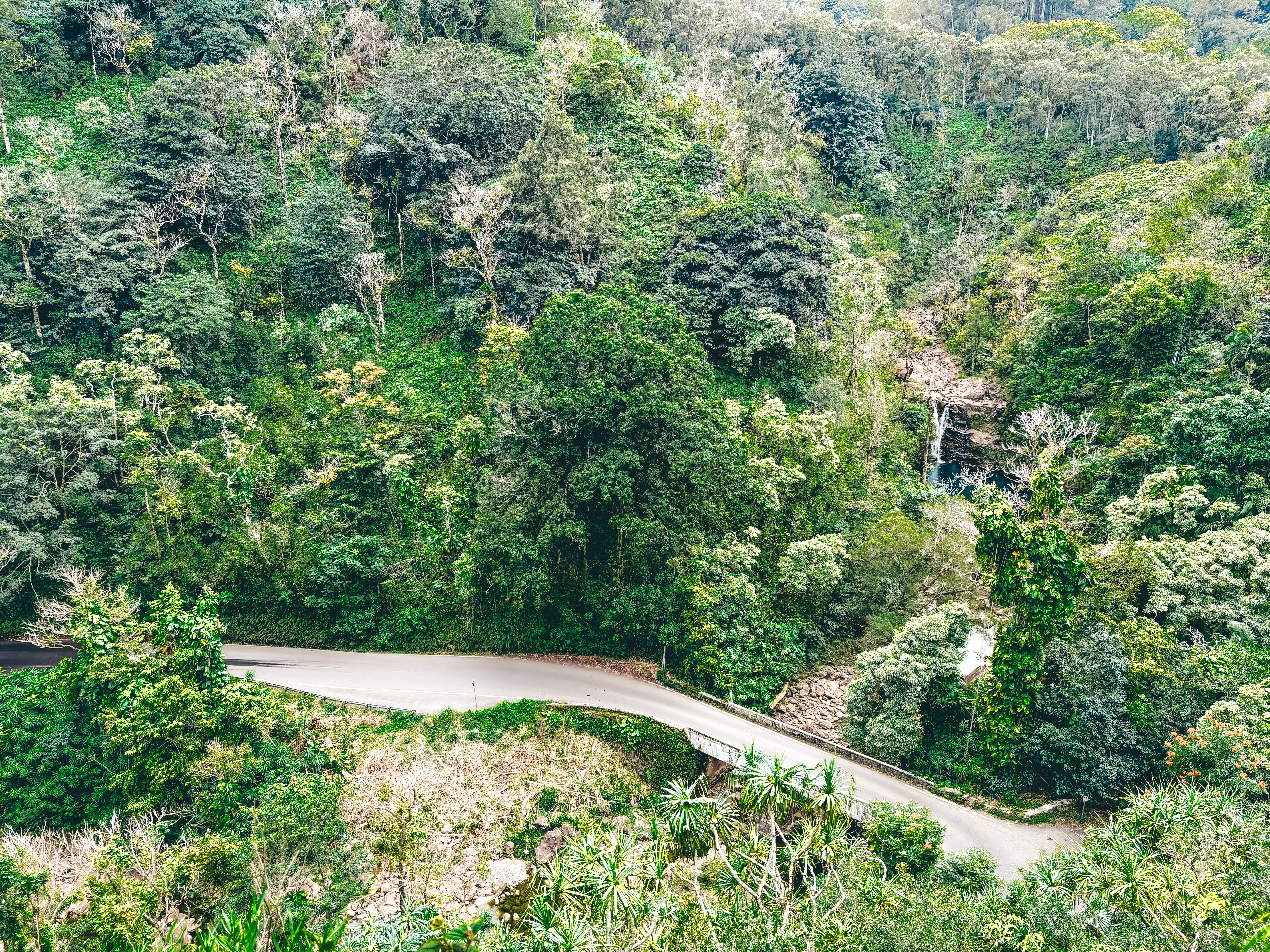 A winding road cuts through a lush, tropical rainforest on the Road to Hana in Maui, Hawaii. Dense greenery, towering trees, and vibrant foliage cover the steep hillsides, with a small waterfall cascading down a rocky slope in the distance. The remote and scenic landscape highlights the natural beauty of this famous drive.