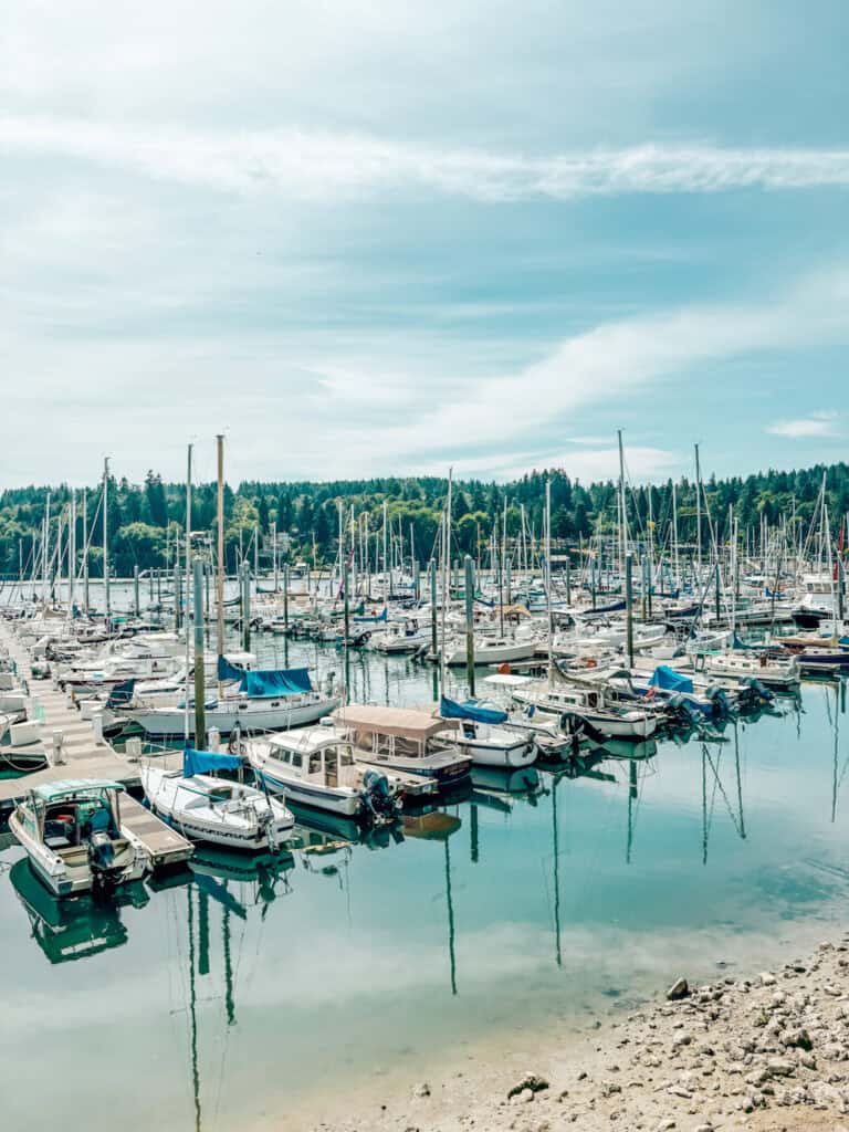 Scenic view of a calm marina filled with rows of docked sailboats and small motorboats reflecting in the turquoise water. The harbor is surrounded by lush green trees under a soft blue sky with wispy clouds, creating a peaceful coastal atmosphere.